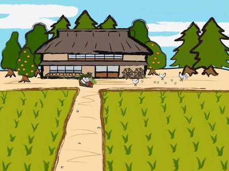 countryside